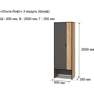 Шкаф 2-х створчатый Ивару Ольга лофт 3 дуб крафт золотой / темно серый (101702) в Москвe