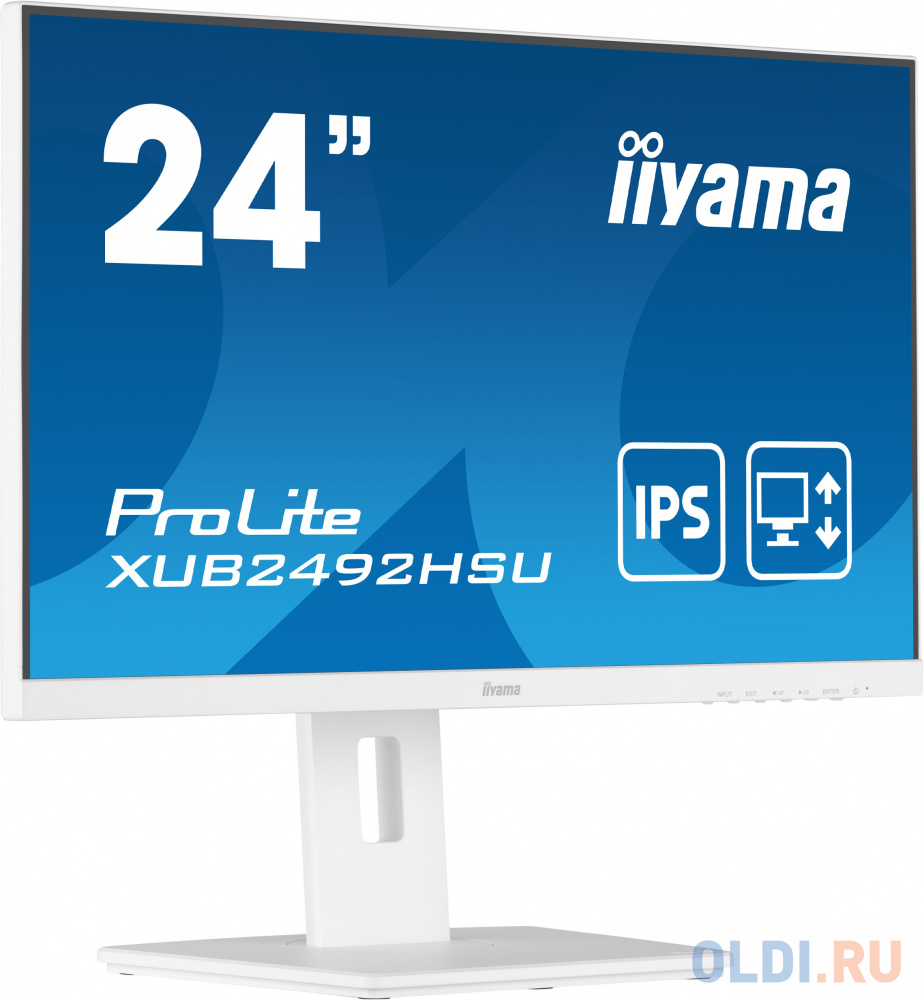 Монитор LCD 23.8'' 16:9 1920х1080(FHD) IPS, nonGLARE, 250cd/m2, H178°/V178°, 1000:1, 5M:1, 16.7M, 4ms, VGA, HDMI, DP, USB-Hub, Height adj, P