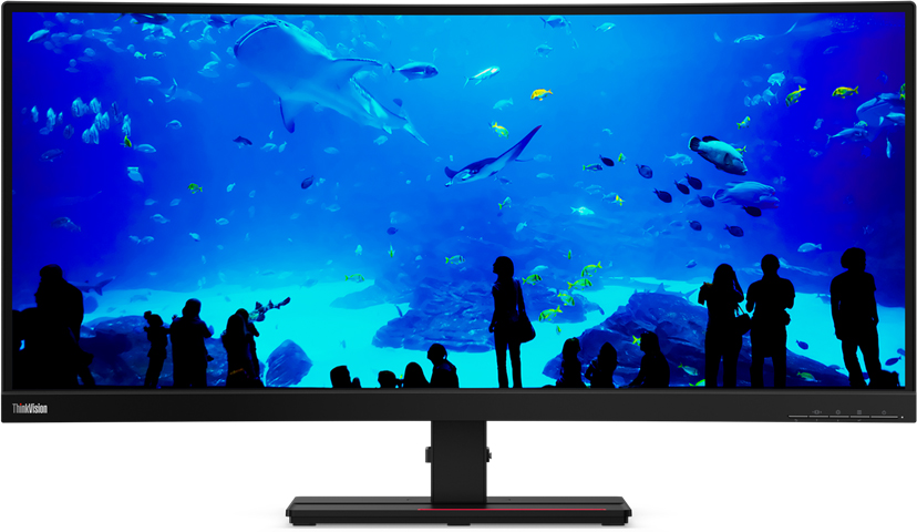 Монитор Lenovo 34" ThinkVision T34w-20 (61F3GAT1EU) черный