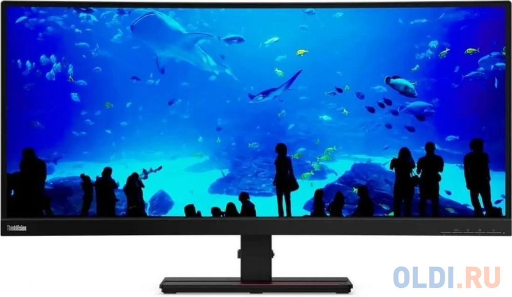 Монитор Lenovo 34" ThinkVision P34w-20 черный IPS LED 6ms 21:9 HDMI M/M HAS Piv 300cd 178гр/178гр 3440x1440 60Hz DP WQ HD 2K (1440p) USB 10.8кг