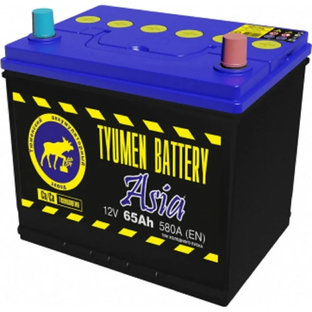 Аккумуляторная батарея TYUMEN BATTERY